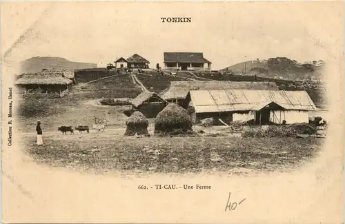 Tonkin - Ti Cau -79916