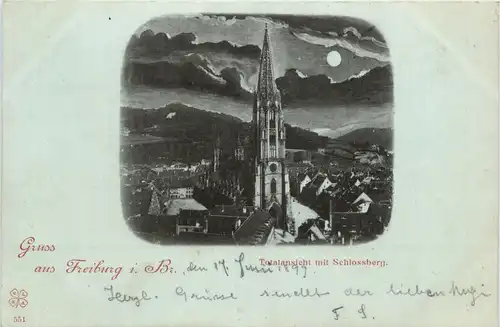 Freiburg i.Br., Totalansicht mit Schlossberg -358544