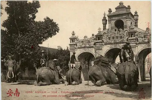 Annam - Hue - Elephants -79590