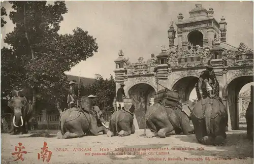 Annam - Hue - Elephants -79580
