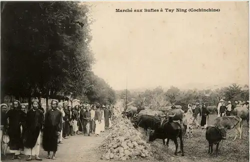 Marche aux Bufles a Tay Ning -80466