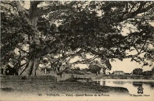 Tonkin - Vietry -79790