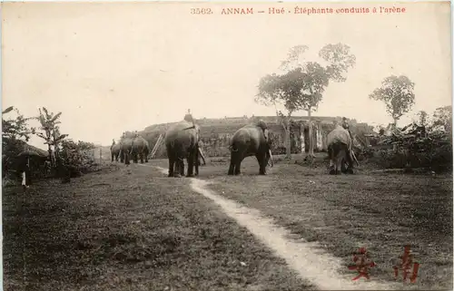 Annam - Hue - Elephants -79684