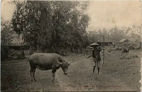 Tonkin - Laboureur -79824