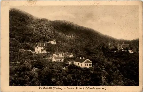 Tonkin - Tam Dao -79808