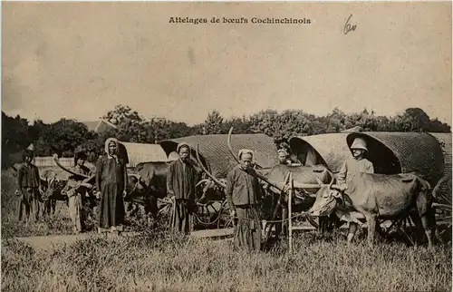Attelages de boeufs -80288