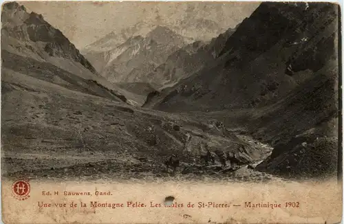 Martinique - 1902 -81796