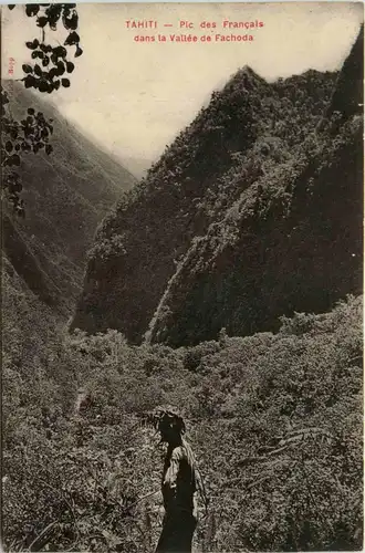 Tahiti - Pic des Francais -82006