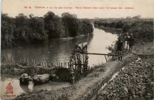Tonkin - La vie aux champs -79822