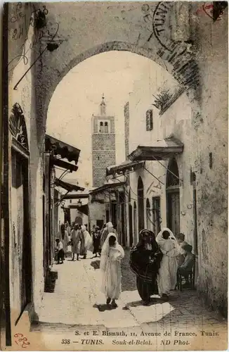 Tunis - Saoult-el-Belat -430900