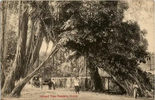 Banyan Tree Kalutara - Ceylon -81378