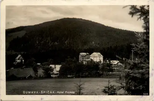 Sumava Spicak - Hhotel Prokop -431200