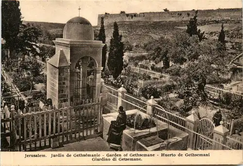 Jerusalem - Garden of Gethsemane -82208