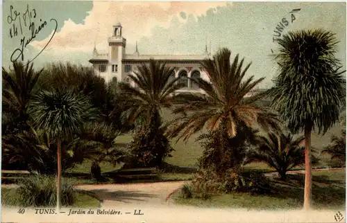 Tunis - Jardin du Belvedere -431034