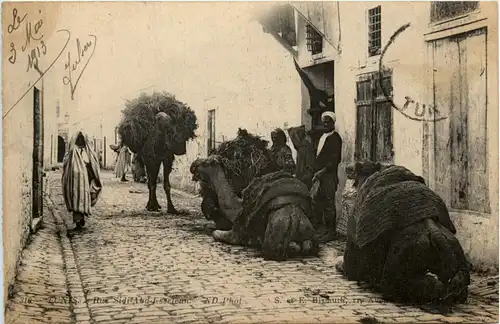 Tunis - Rue Sidi Abd Esseleun - Camel -430692