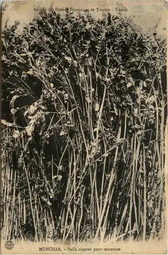 Munchar - Sulla reserve pour semences -430852