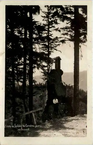 Sumava - Spicak - Z cesty na Pancif -431184
