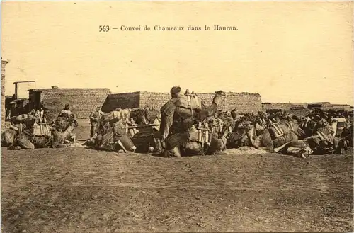 Convoi de Chameaux dans le Hauran - Syria -431332