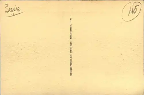 Convoi de Chameaux dans le Hauran - Syria -431332