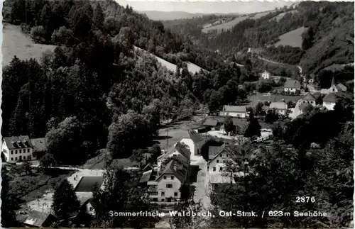 Oststeiermark/ div.Orte ung Umgebung - Sommerfrische Waldbach, -333456