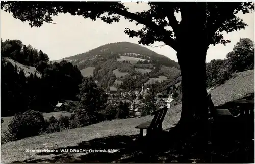 Oststeiermark/ div.Orte ung Umgebung - Sommerfrische Waldbach, -333476