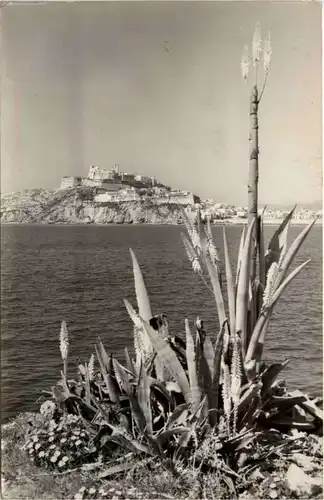 Ibiza - La Ciudad -431898
