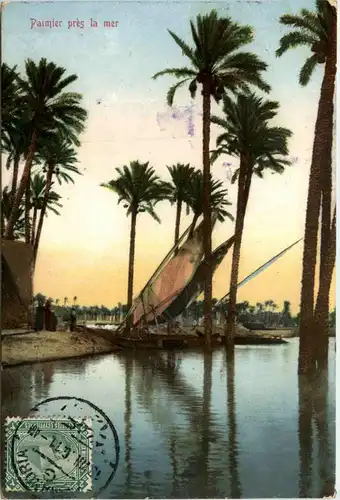 Egypt - Palmiers pres la mer -432612