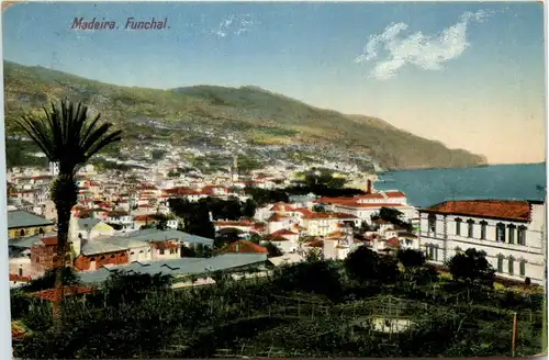 Madeira - Funchal -433514