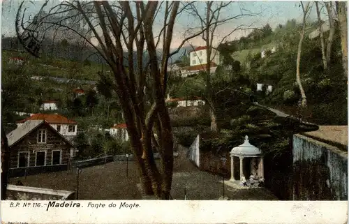 Madeira - Fonto do Monte -433534