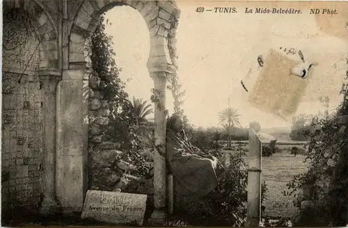 Tunis -La Mida- Belvedere -430922