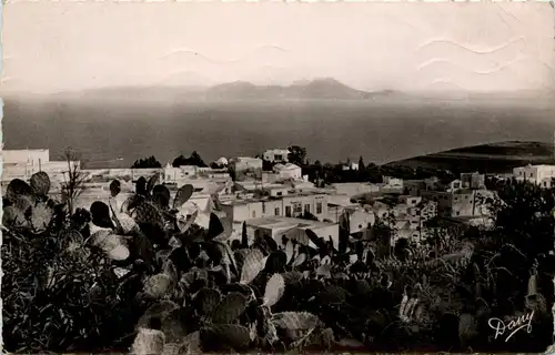Sidi-Bou-Said -430982