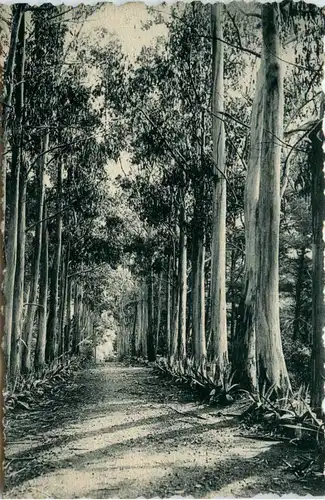 Monaco - Monte Carlo -432990