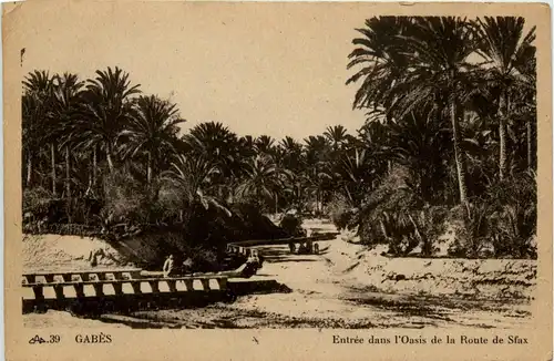 Gabes - Entree dans l Oasis -431022
