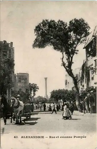 Alexandria - Rue et colonne Pompee -432528