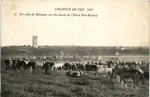 Colonne de Fez -433862