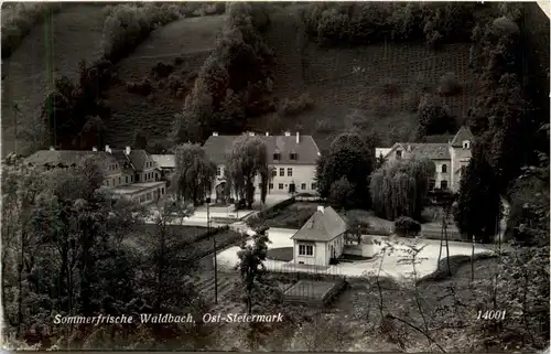 Steiermark/div. Orte - Sommerfrische Waldbach. -334938