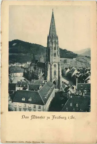 Freiburg i.B. - Das Münster -327144
