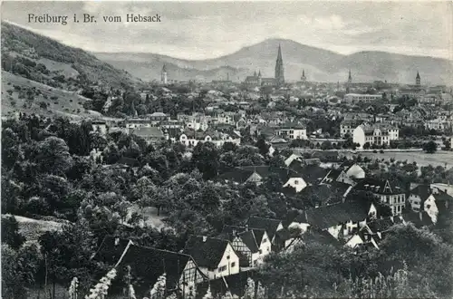 Freiburg i.B. - vom Hebsack -327164