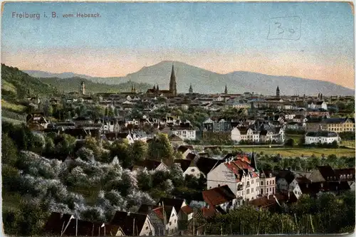 Freiburg i.B. - vom Hebsack -327184