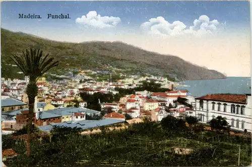 Madeira - Funchal -433520