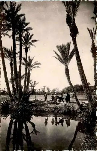 Marrakech -434076