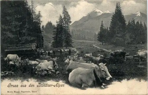 Gruss aus den Bündner Alpen -434882