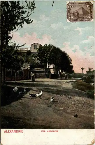 Alexandria - Une Campagne -432560