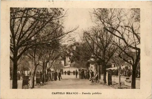 Castelo Branco - Portugal -434552