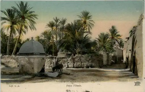 Maroc - Dans l Oasis -434396