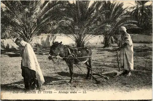 Maroc - Attelage arabe -434360