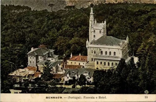 Portugal - Bussaco -434672