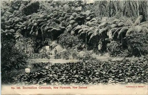 New Zealand - New Plymouth -432914