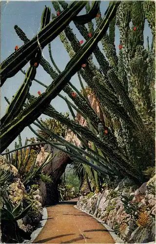 Monaco - Monte Carlo -433068