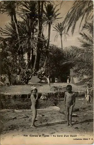 Maroc - Bord d un Oued -434374